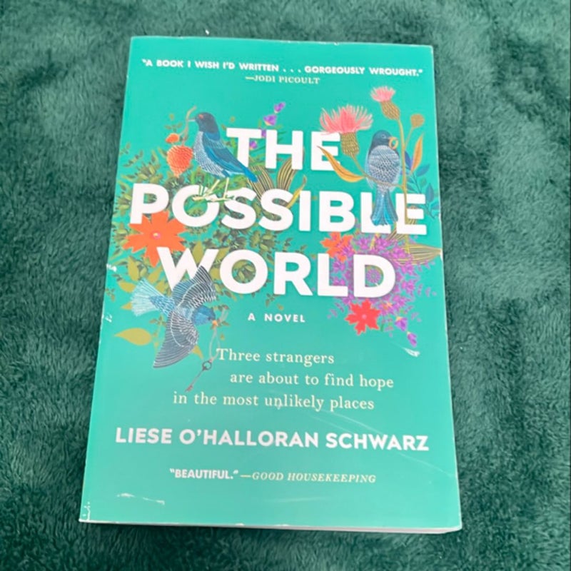 The Possible World