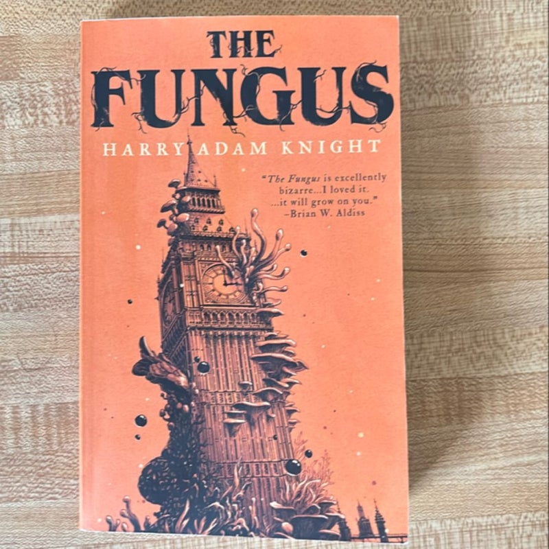 The Fungus