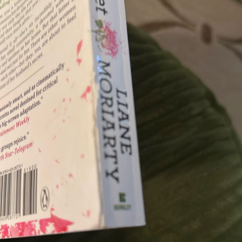 The Husband's Secret