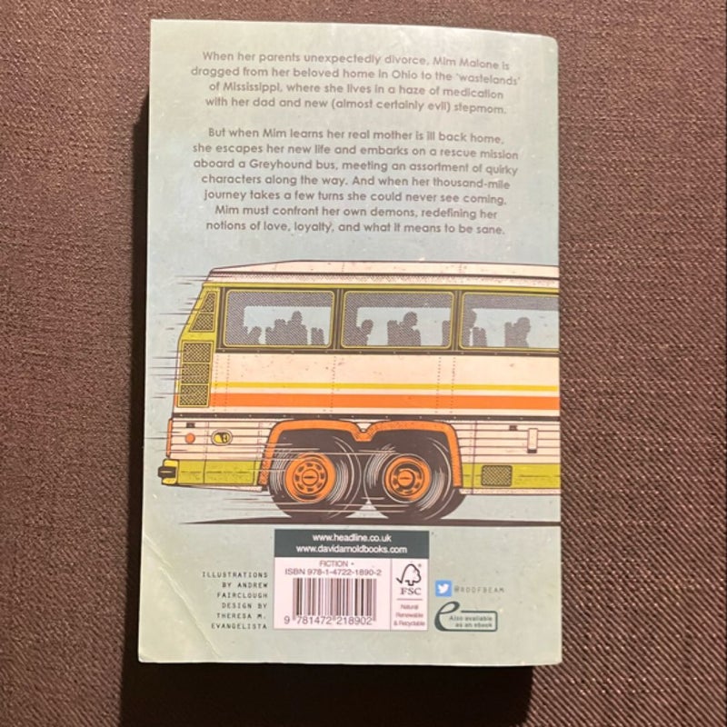 Mosquitoland