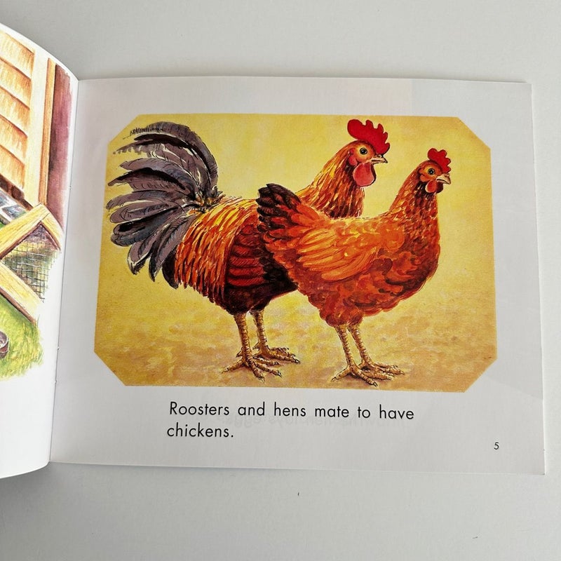 Chickens