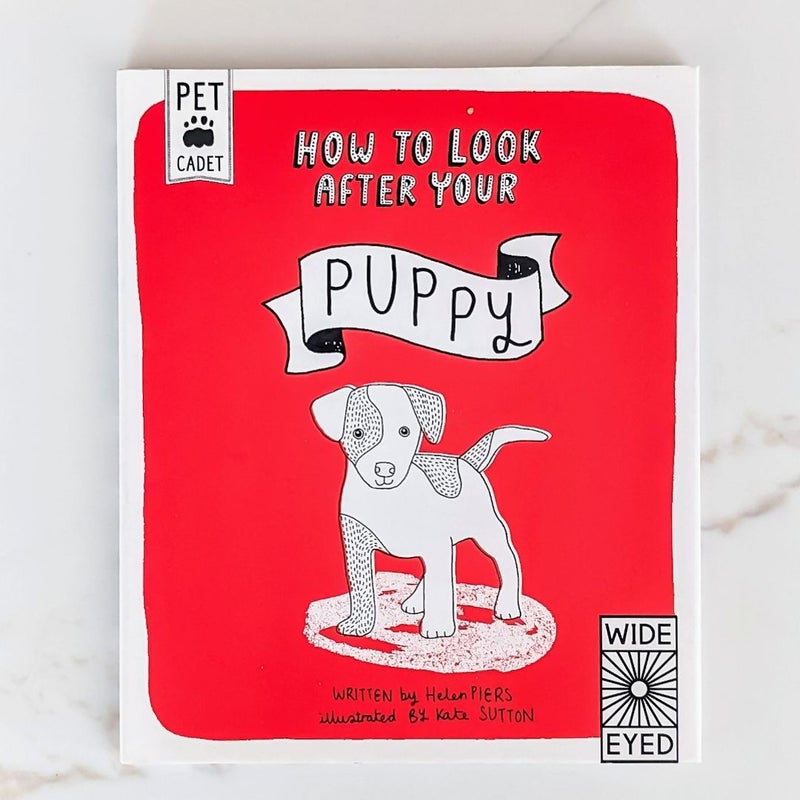 How to look After Your Puppy 