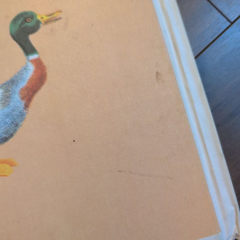 A Pere Castor Book, Ploof The Little Wild Duck