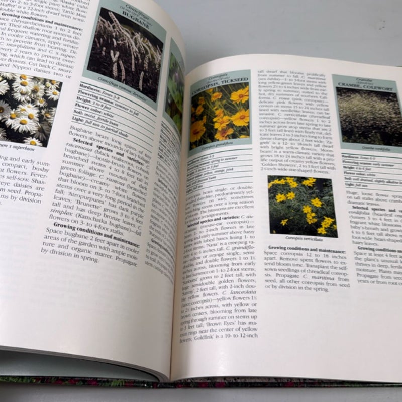 Perennials