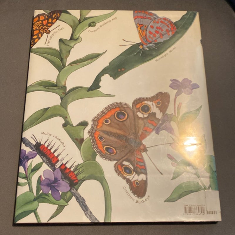 A Butterfly Is Patient