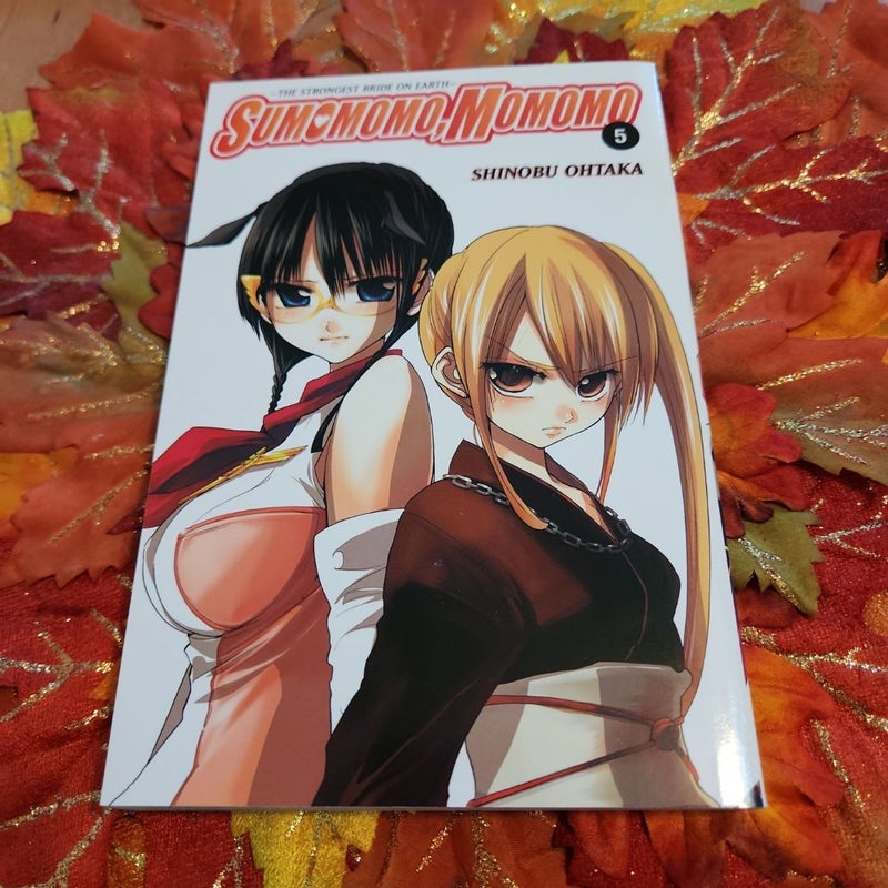 Sumomomo, Momomo, Vol. 5 by Shinobu Ohtaka, Stephen Paul