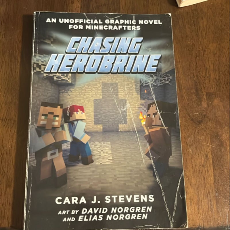 Chasing Herobrine