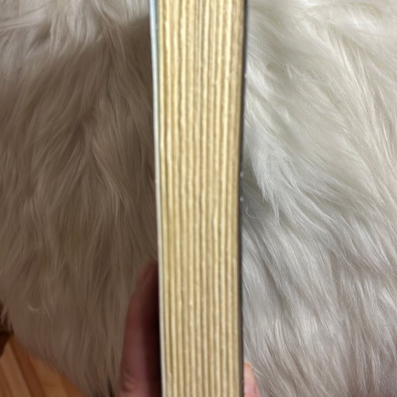 The Lost Girls of Paris