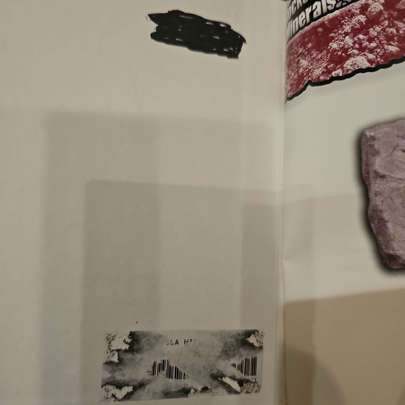 Marble and Other Metamorphic Rocks by Chris Pellant, Helen Pellant