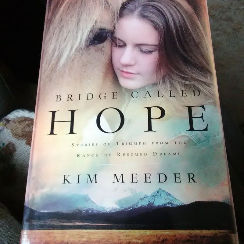 Bridge Called Hope