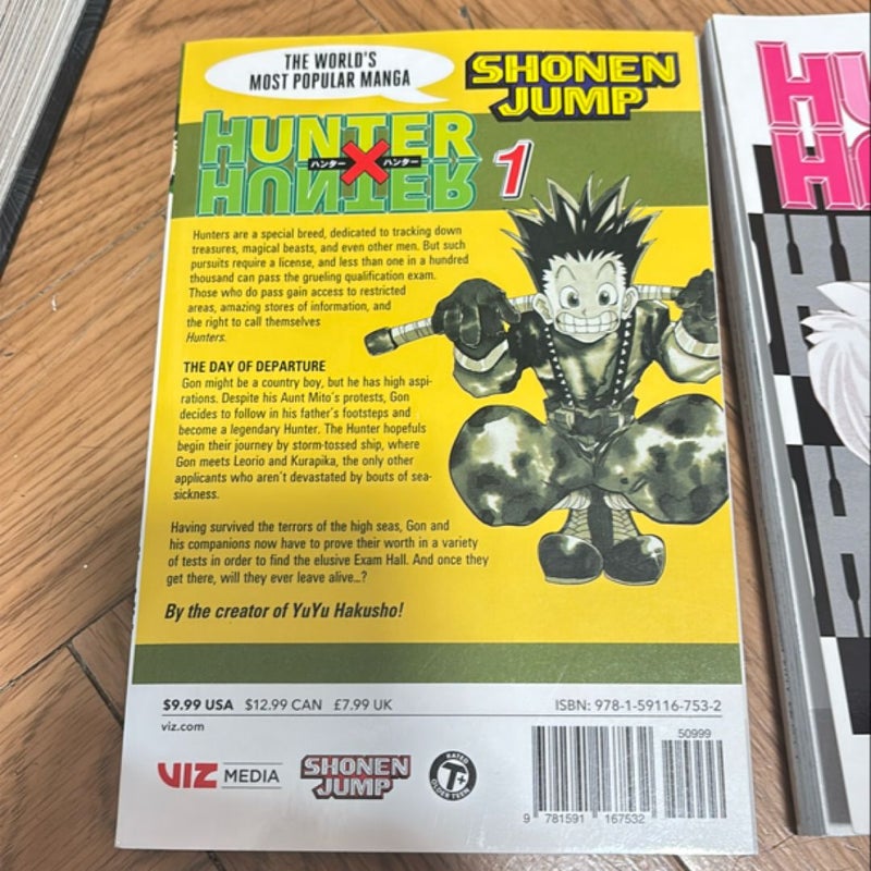 Hunter x Hunter Vol 1 & 2