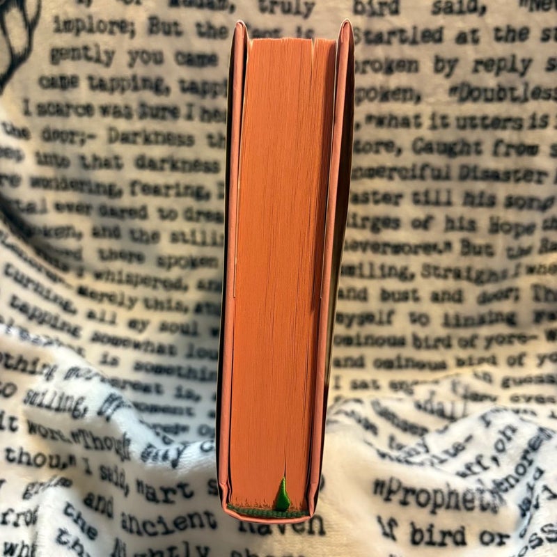 A Fragile Enchantment: Owlcrate Edition