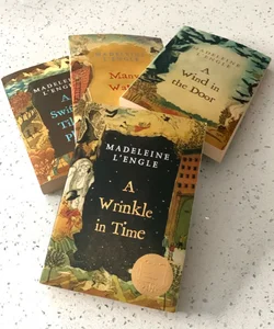 A Wrinkle in Time Series Bundle