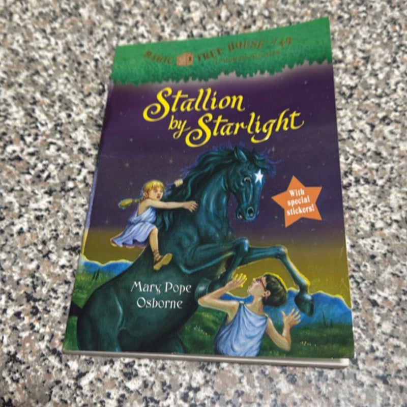 Stallion by starlight 
