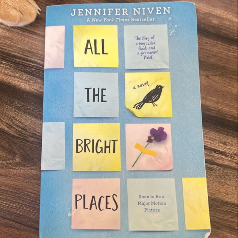 All the Bright Places