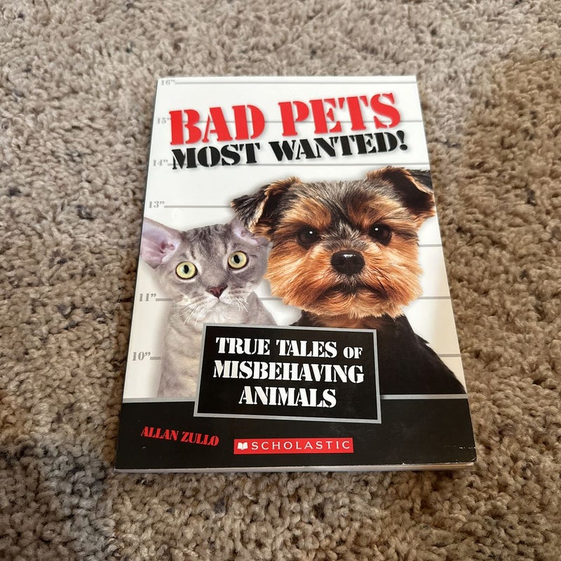 Bad Pets