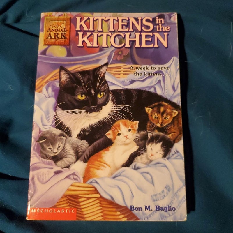 Kittens in the Kitchen