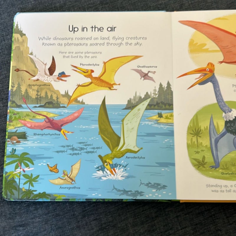My Vert First Dinosaurs Book