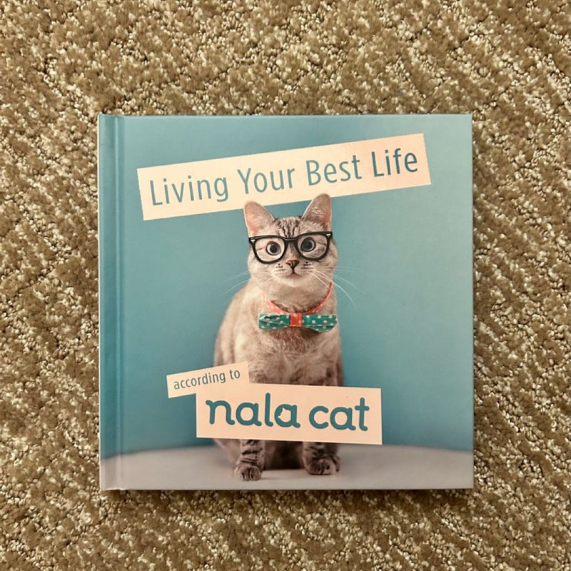 Living Your Best Life According to Nala Cat