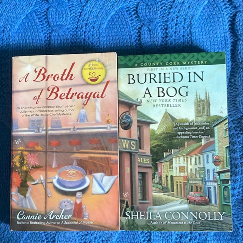 Cozy mystery bundle