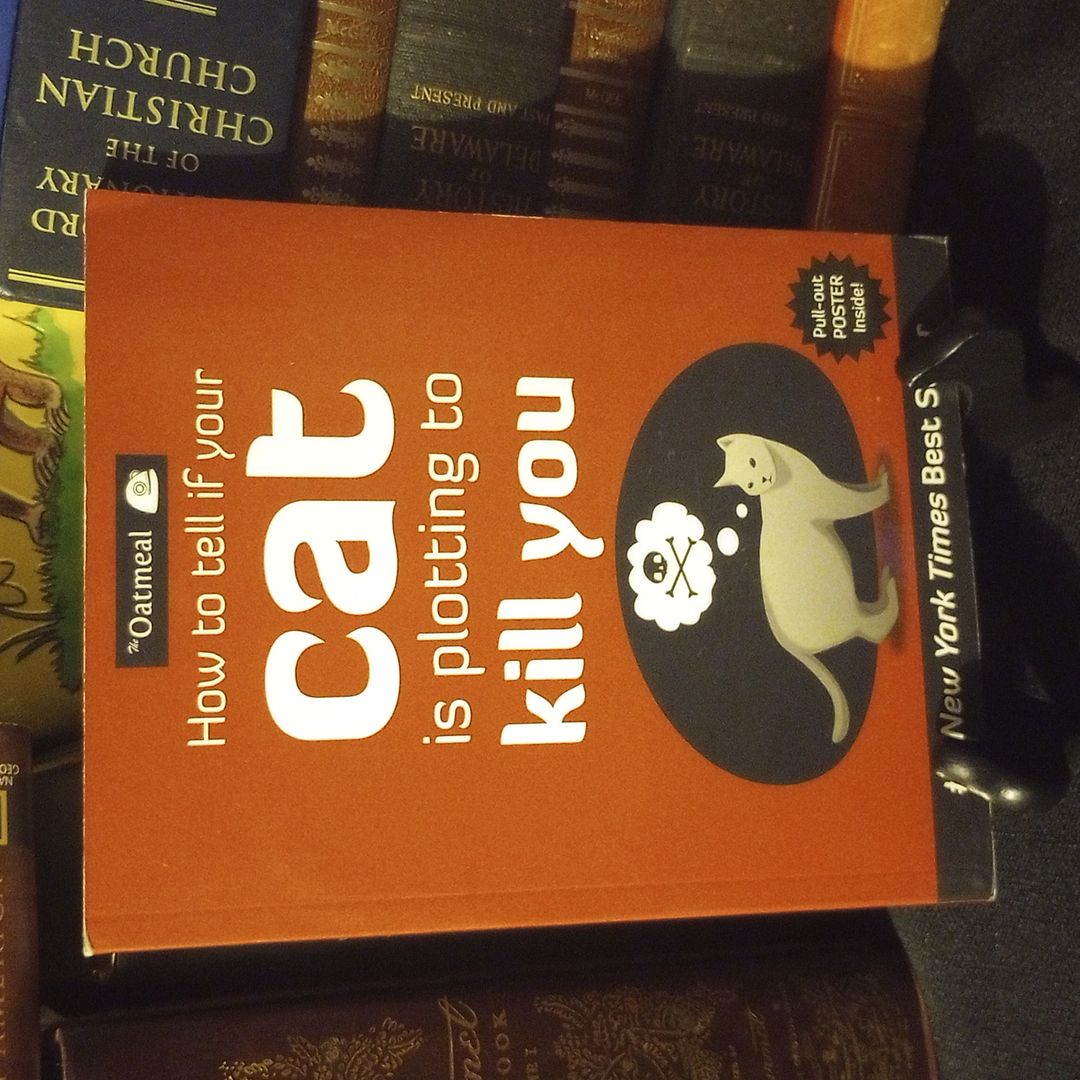 Sale image for ce83db0e-1ec6-47d1-a898-c5ff8c9fff82-OvB3NxzoxYd8aN1WJH3TjKlr0DD2