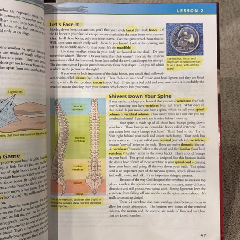 Exploring Creation with Human Anatomy and Physiology