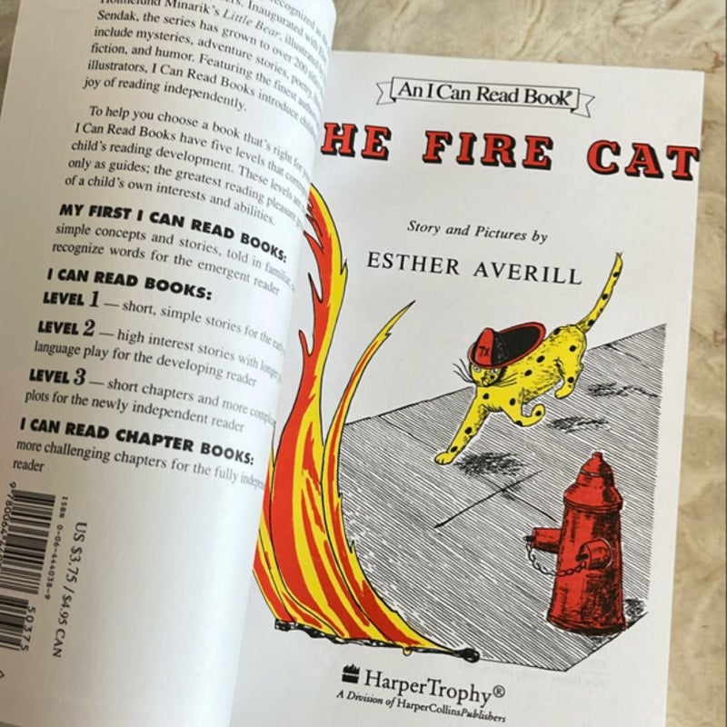 The Fire Cat