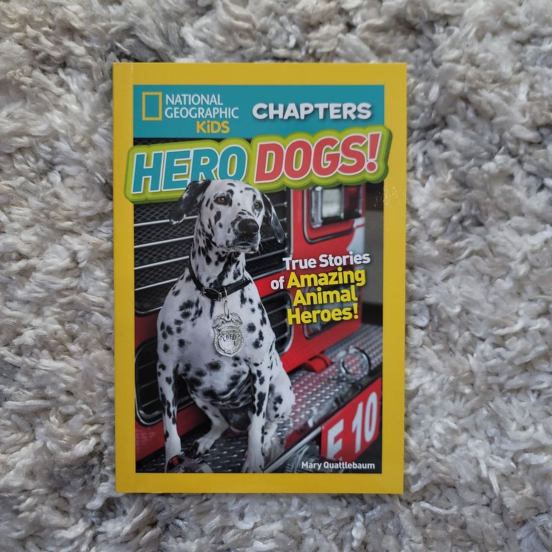 National Geographic Kids Chapters: Hero Dogs