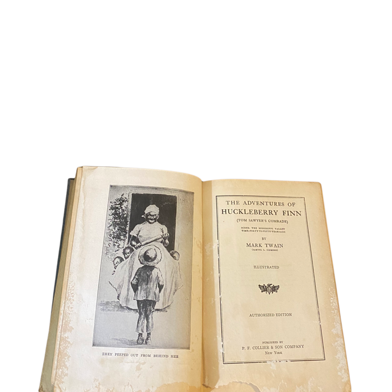 The Adventures of Huckleberry Finn