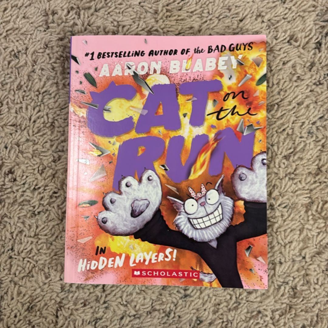 Cat on the Run in Hidden Layers! (Cat on the Run #3)