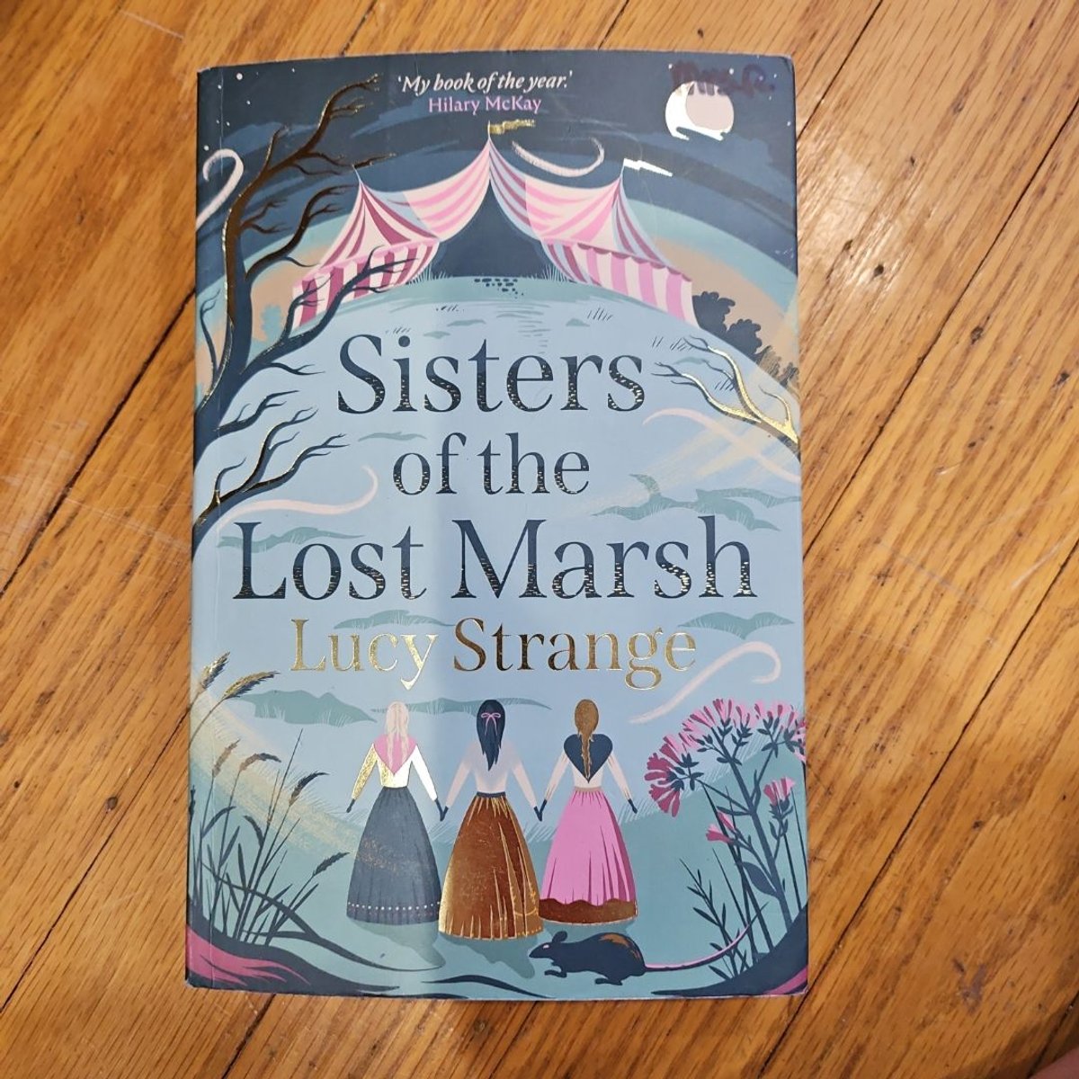 Sisters of the Lost Marsh by Lucy Strange