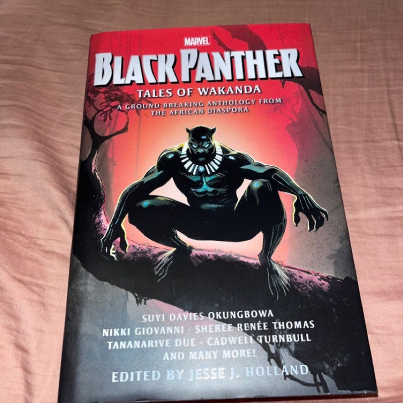 Black Panther Tales of Wakanda