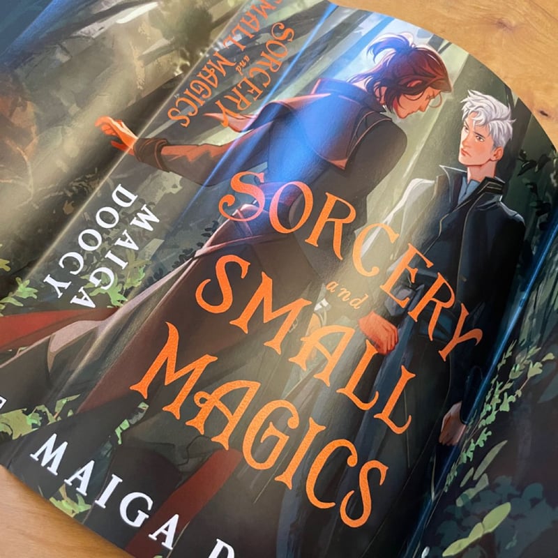 Sorcery and Small Magics by Maiga Doocy, Hardcover Pangobooks