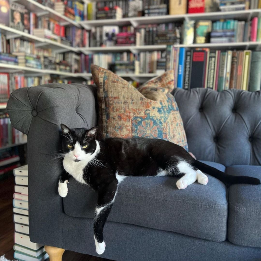 Starry Dynamo Books