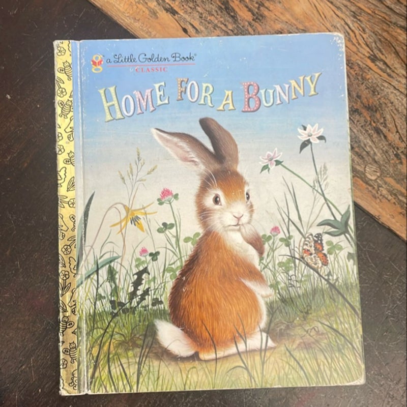 Home for a Bunny