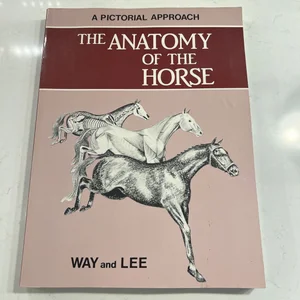The Anatomy of the Horse