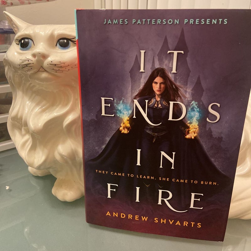 It Ends in Fire