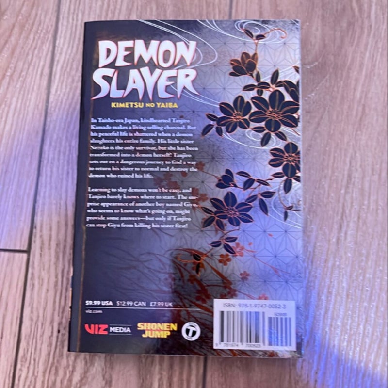 Demon Slayer: Kimetsu No Yaiba, Vol. 1