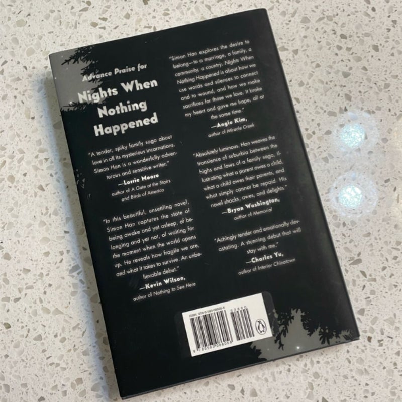 Nights When Nothing Happened
