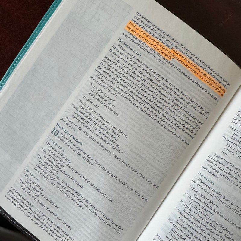 Beautiful Word Bible (NIV)