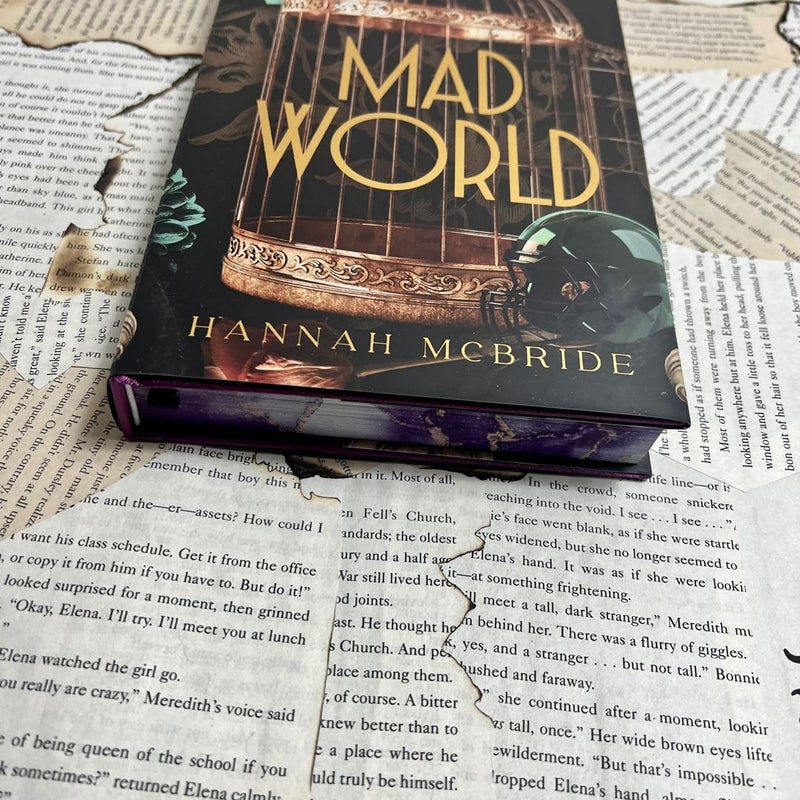 Mad World Hannah Mcbride  Baddies Book Box special edition