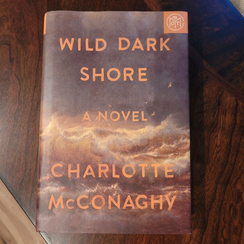 Wild Dark Shore