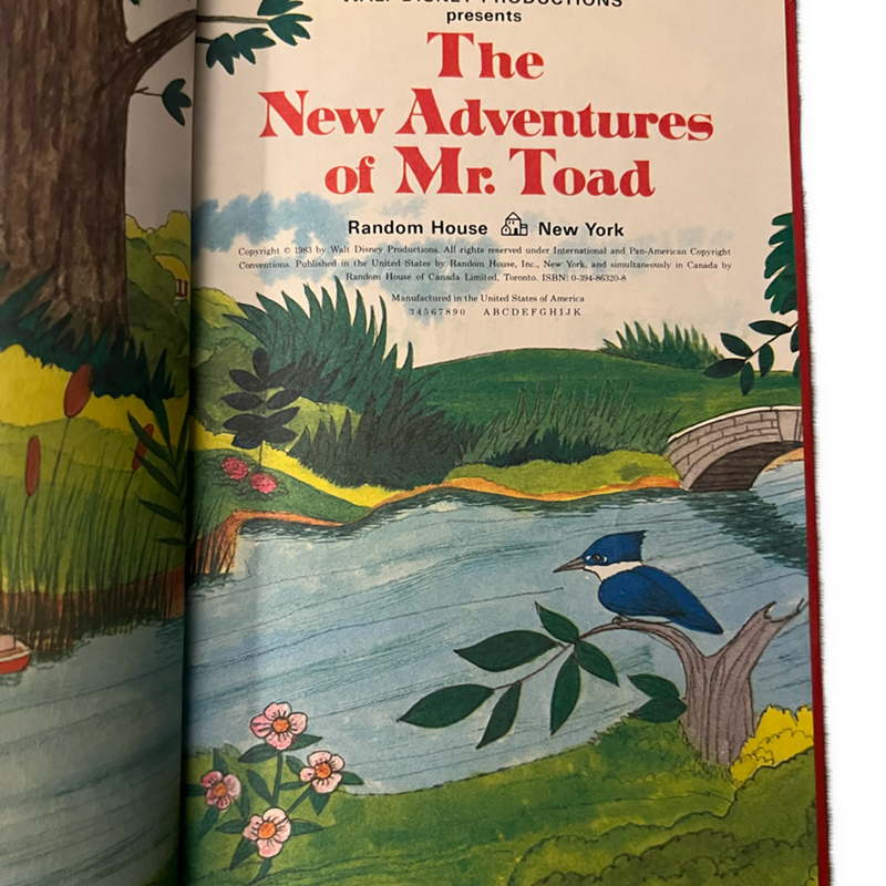 Vintage 1983 Disney Wonderful World of Reading The New Adventures of Mr. Toad