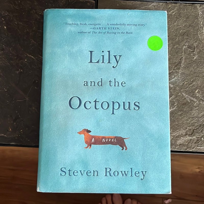 Lily and the Octopus