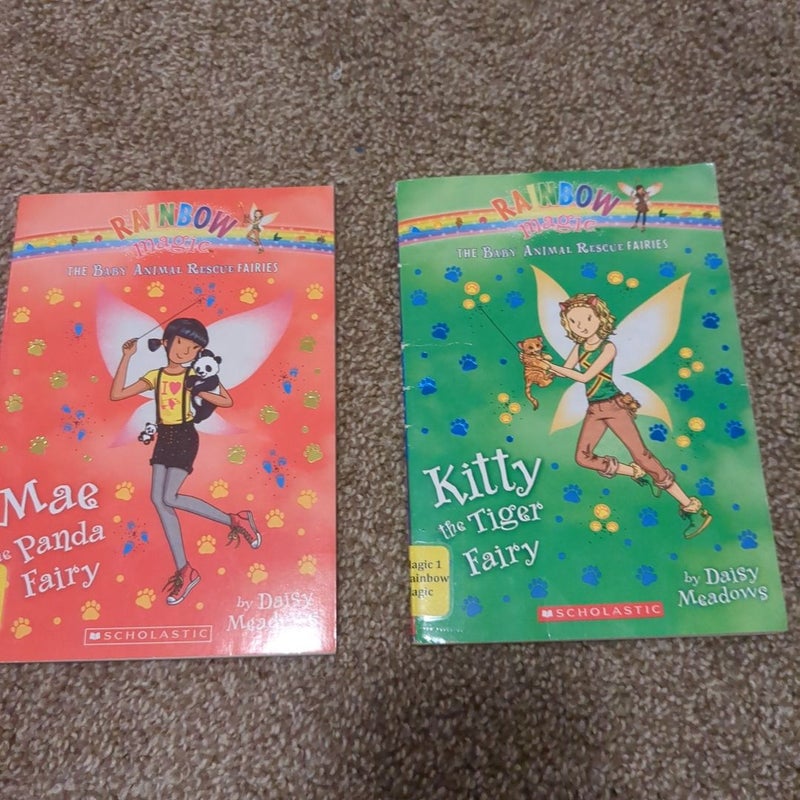 Rainbow Magic Girls chapter book lot