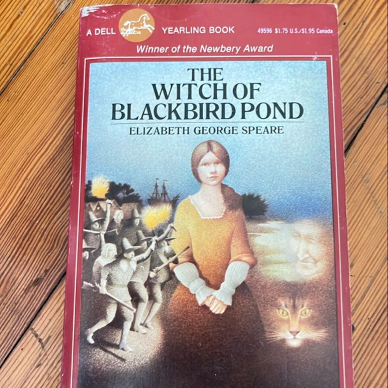 The Witch of Blackbird Pond