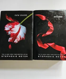 Eclipse and New Moon 
