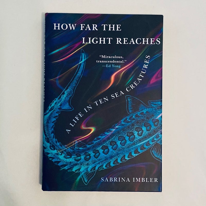 How Far the Light Reaches
