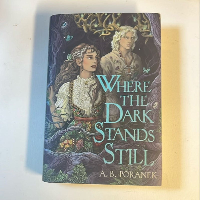 Where the Dark Stands Still
