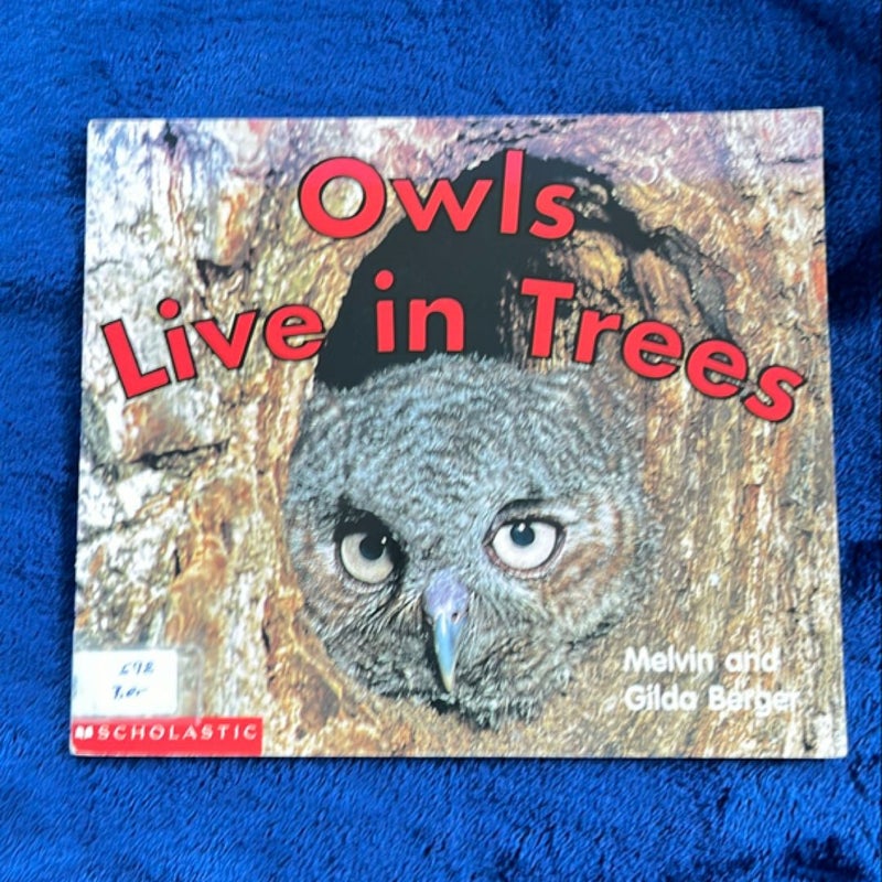 Owls Live in Trees